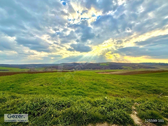 Edirne Sipahi’de 6.790 m² Satılık Tarla ilan görseli
