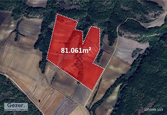 Edirne Sipahi’de 81.061 m² Satılık Tarla ilan görseli